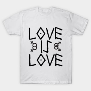 Love is love. LGBT T-Shirt